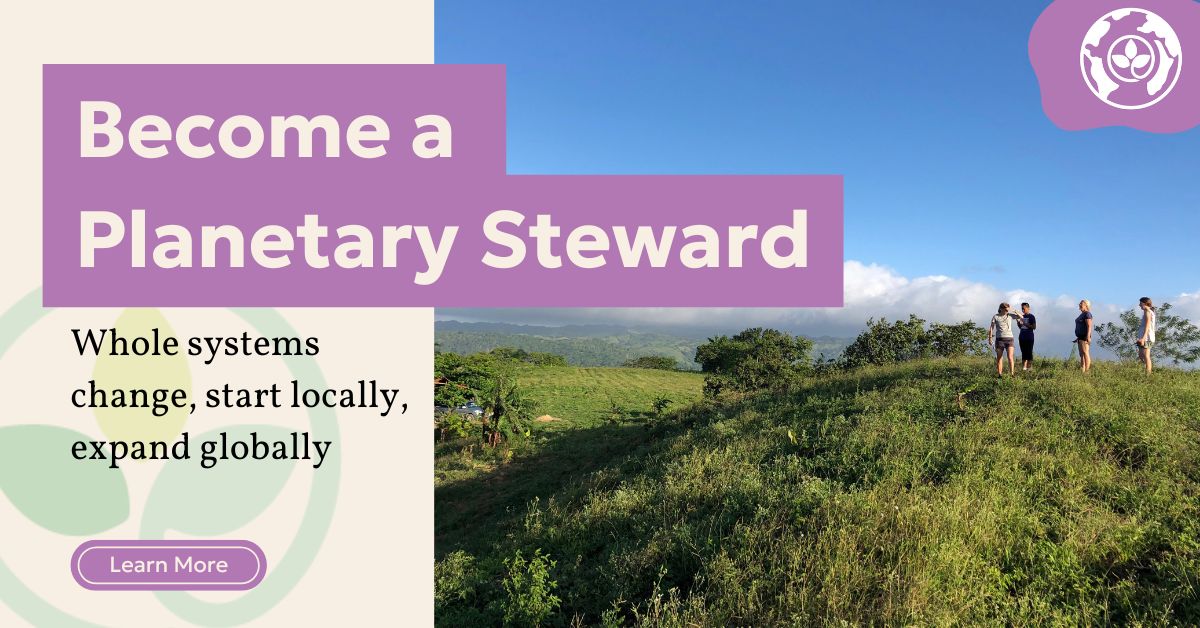 Planetary Stewards