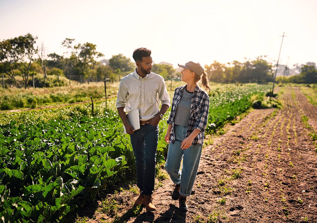 Organic farm