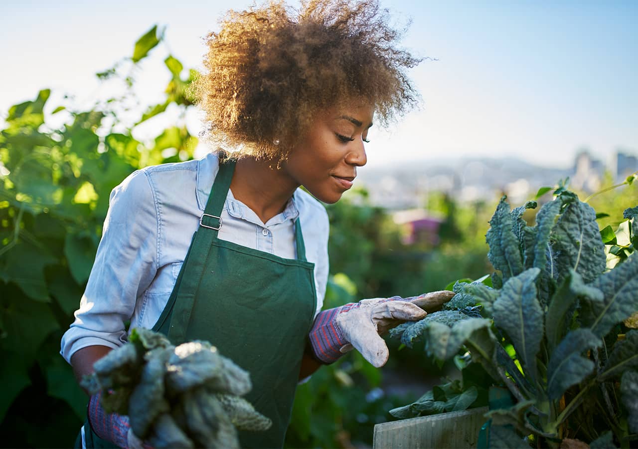 A woman gardening