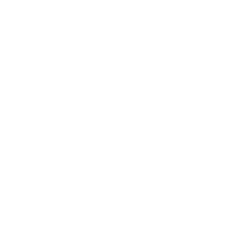 Video icon