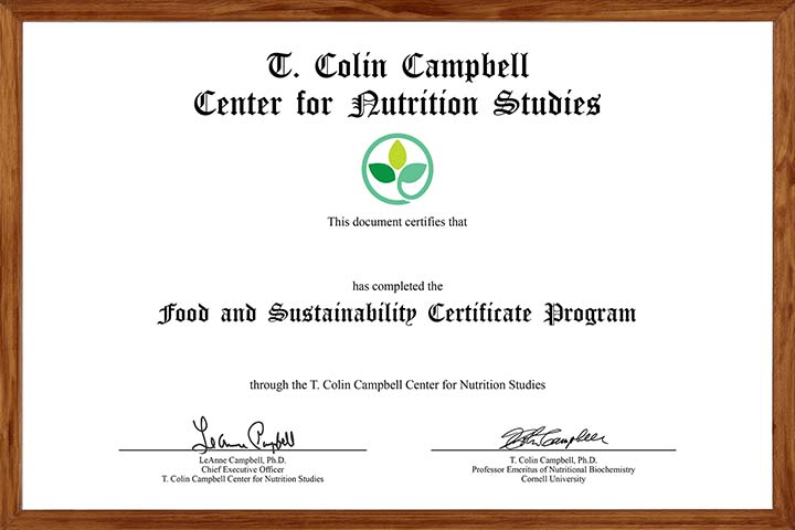 Food & Sustainability Certificate