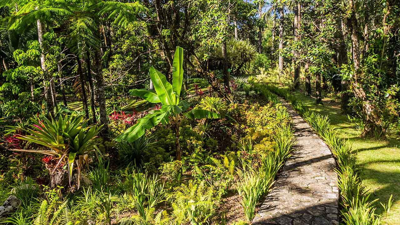 Jardín Botánico