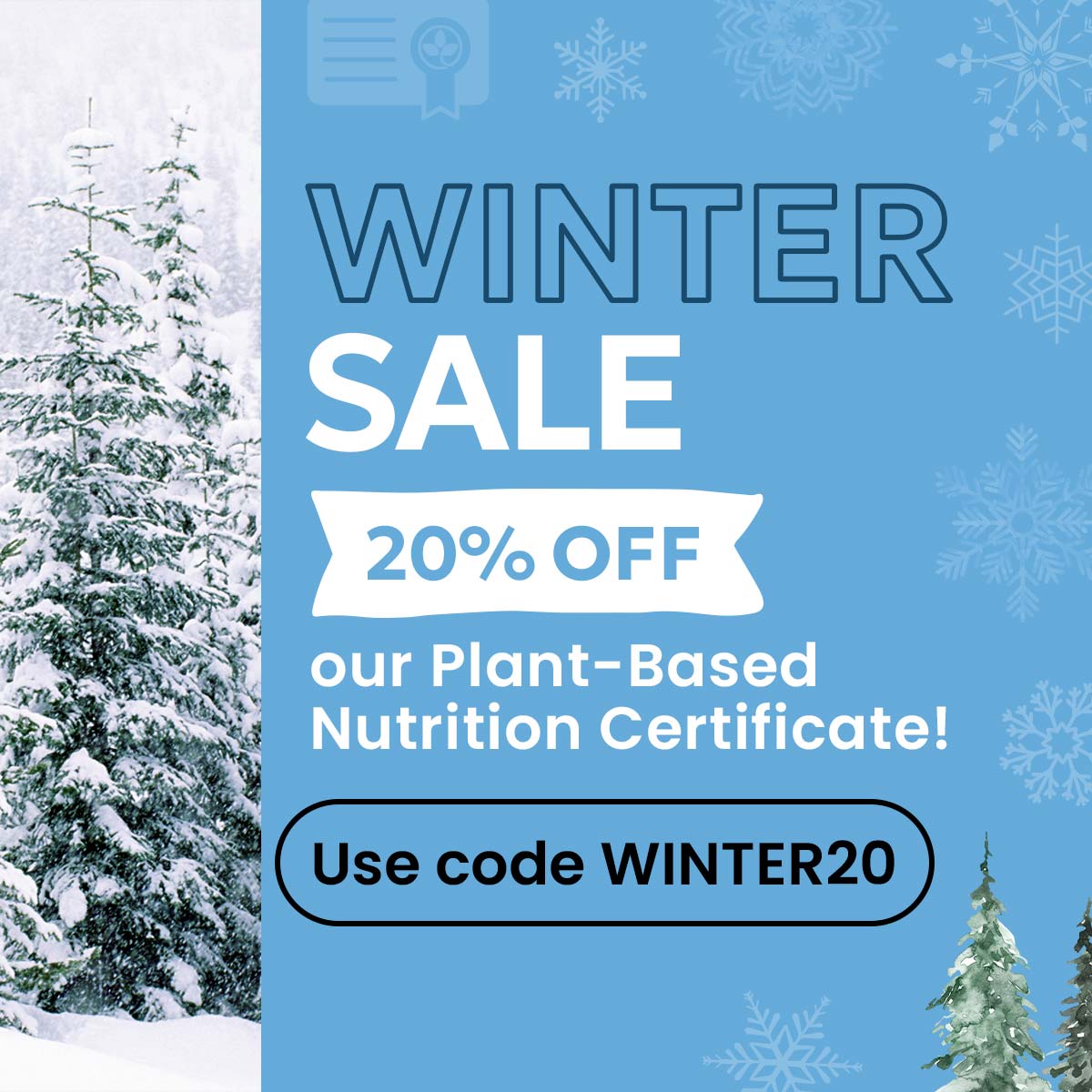 Winter Sale
