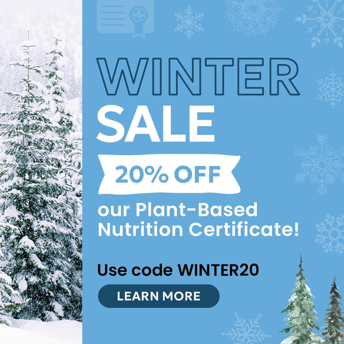 Winter Sale