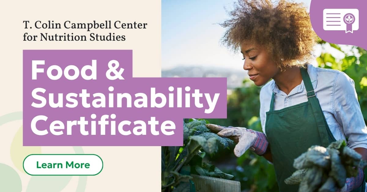 Food & Sustainability Certificate