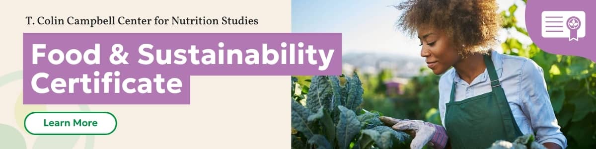 Food & Sustainability Certificate