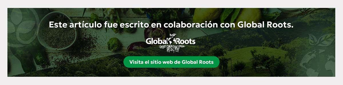 Global Roots