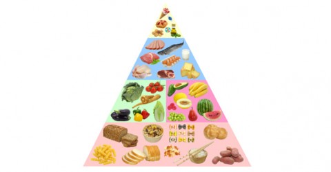 Solving Food Pyramid Mysteries