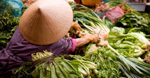 Tracking Anti-Oxidants in Rural China