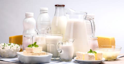 Consumo de lácteos y las afirmaciones sobre pérdida de peso