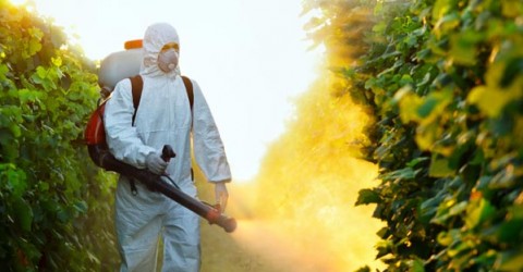 Chemical Carcinogens: How Safe Are You?