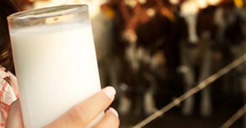 Dairy Consumption and Weight Loss Claims