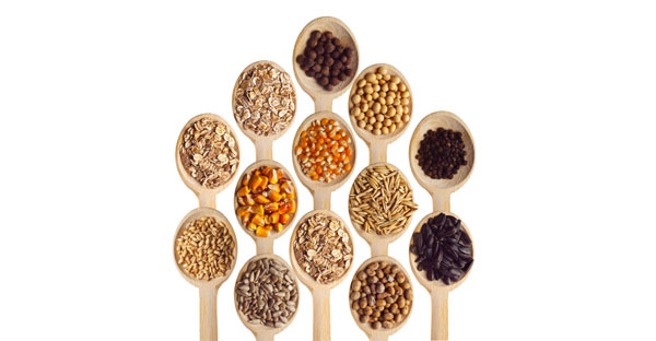 Whole Grains: Good or Bad?