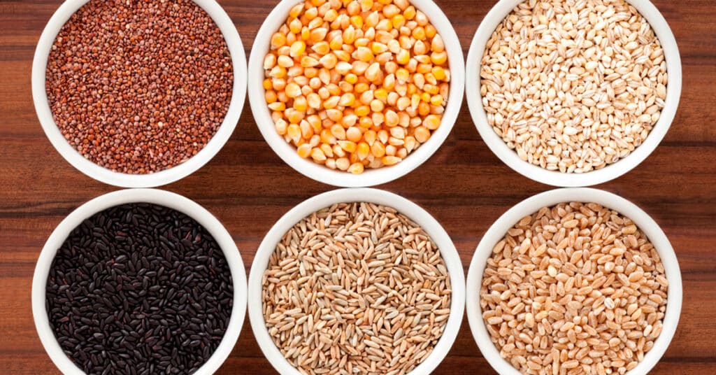 Cereales de grano entero: ¿Son buenos o malos? - Centro de Estudios en  Nutrición
