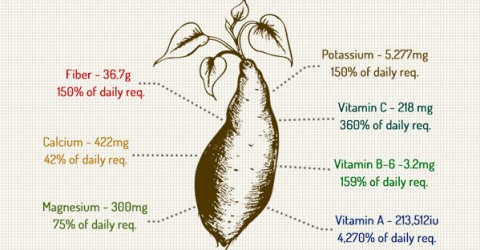 How Sweet is a Sweet Potato? Pretty Sweet!