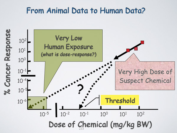 From Animal Data to Human Data