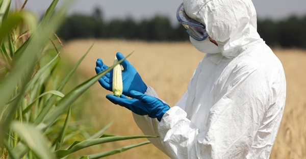 GMO Dangers: Facts You Need to Know