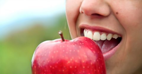 Time to Chew: The Digestive System Starts in Your Mouth