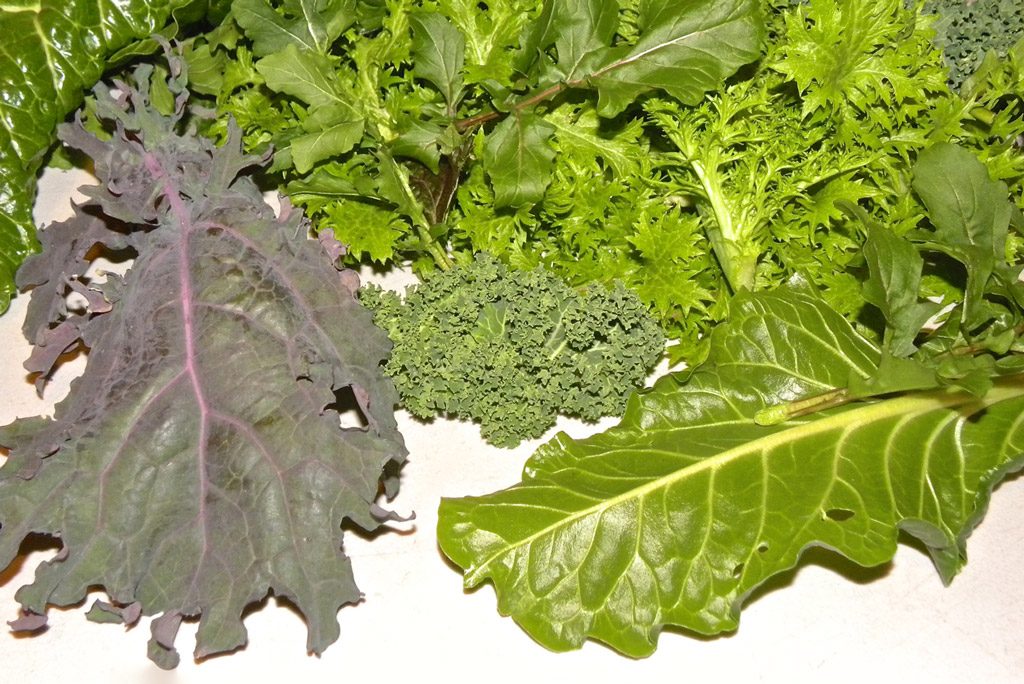 Different types of harvested greens