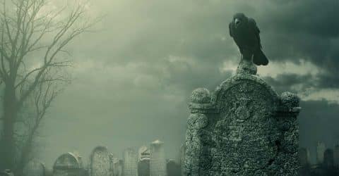 Animal Protein Linked to Death