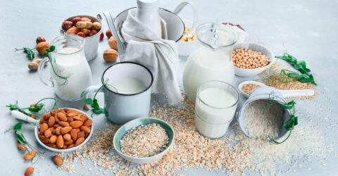 A Doctor’s Tips for Choosing a Plant-Based Milk