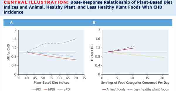 The Quality of Your Plant-Based Diet Matters for Heart Disease Risk