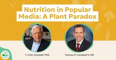 Nutrition in Popular Media: A Plant Paradox