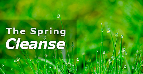 4 Macrobiotic Tips for Spring Cleansing