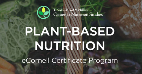 The Value of the Plant-Based Nutrition Certificate: A Student’s Review