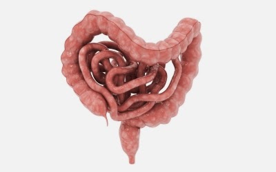 What Is Diverticular Disease and How to Treat It