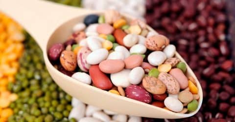 What Are Lectins? A Look at This Controversial Protein