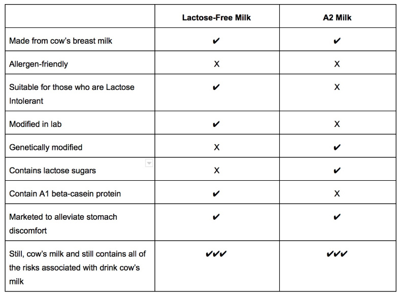 What Exactly Is A2 Milk? Everything You Need to Know About A2 Cow’s Milk
