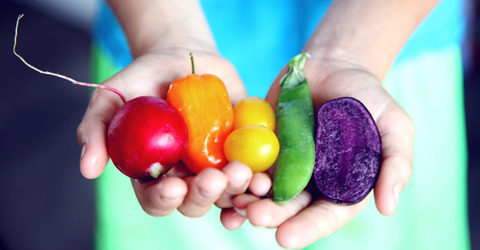 El dilema de la fibra: comer basado en plantas sin problemas estomacales