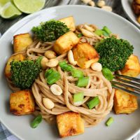 Peanutty Soba Noodles With BBQ Tofu and Broccoli - Center for Nutrition ...