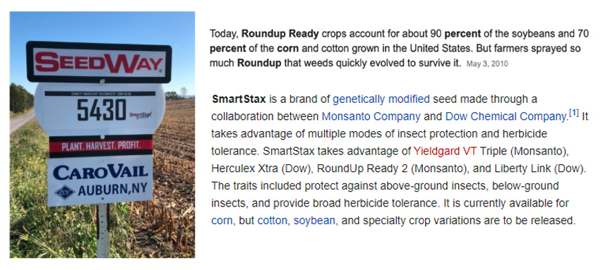 Roundup-Ready®, Grasshoppers and Animal Protein Are Connected