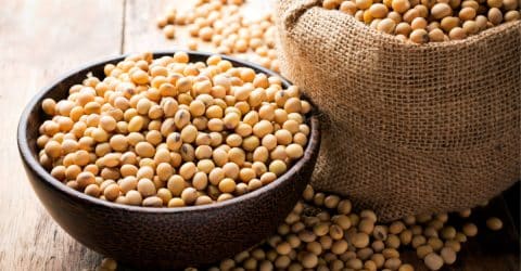 3 Myths About Soy – Setting the Record Straight