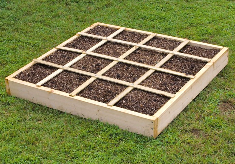 Square Foot Gardening Method - Growing Food at Home and Beyond