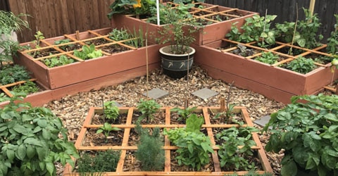 Step-By-Step Guide on How to Create a Square Foot Garden