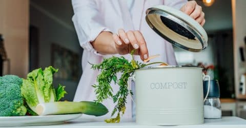 Home Composting Made Simple—Compost Guide, with Tips for Beginners