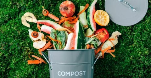 Compostaje casero simplificado – Guía de compostaje para principiantes