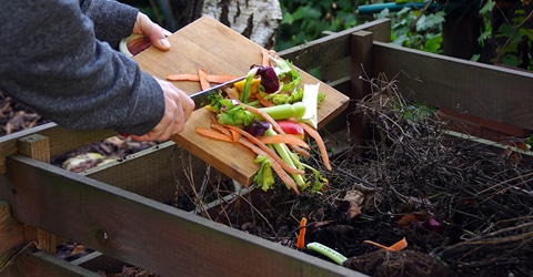 Home Composting Made Simple — Compost Guide With Tips for Beginners