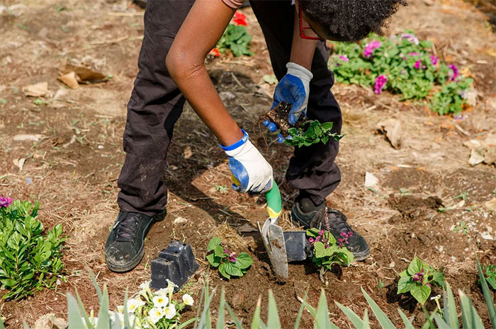 El pasto será más verde donde lo riegues – esta jardinera ayuda a cultivar alimentos y a una comunidad sostenible