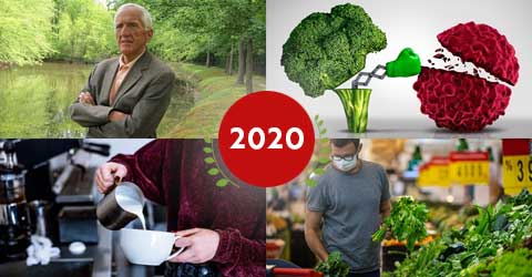 Las 10 principales historias y artículos de noticias basadas ​​en plantas de 2020