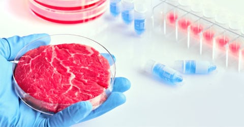 How Is Cell-Cultured Meat Changing the Future of Food?