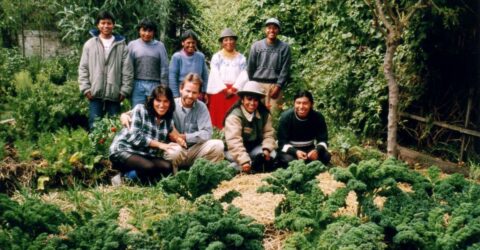 AmaruArts preserva la cultura indígena de los Andes a través de la agricultura y la nutrición