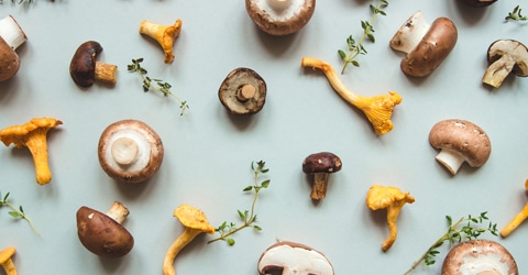 How To Get Your Vitamin D From Mushrooms - Center for Nutrition Studies