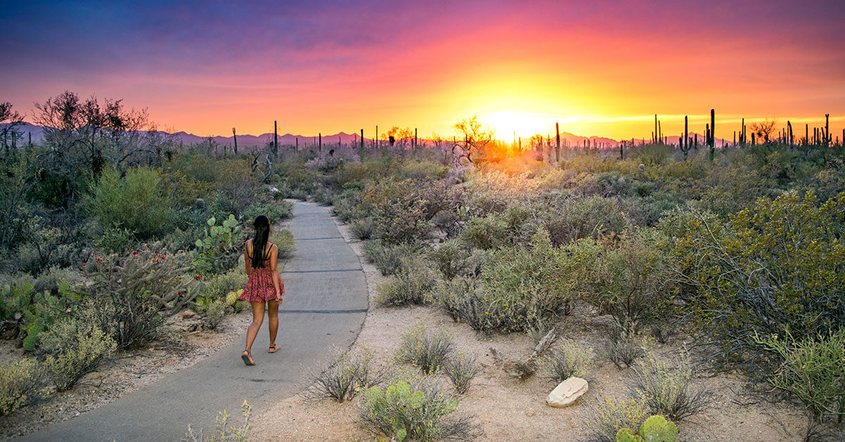 Sonoran Sunshine Wellness Retreat 2022 
