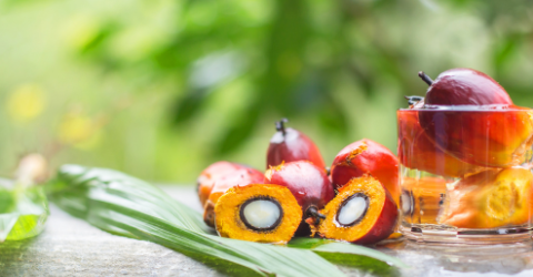 Palm Oil: Nutrition, Health Effects and Substitutes