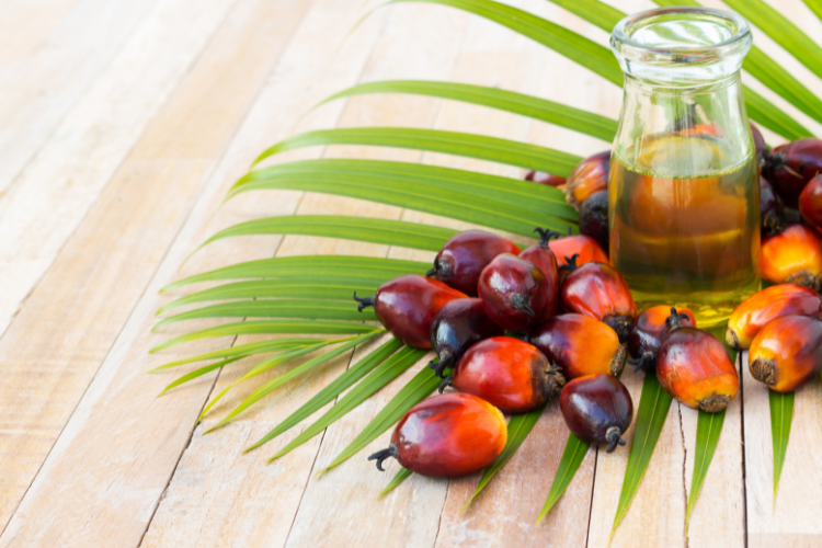 Palm Oil Health Benefits