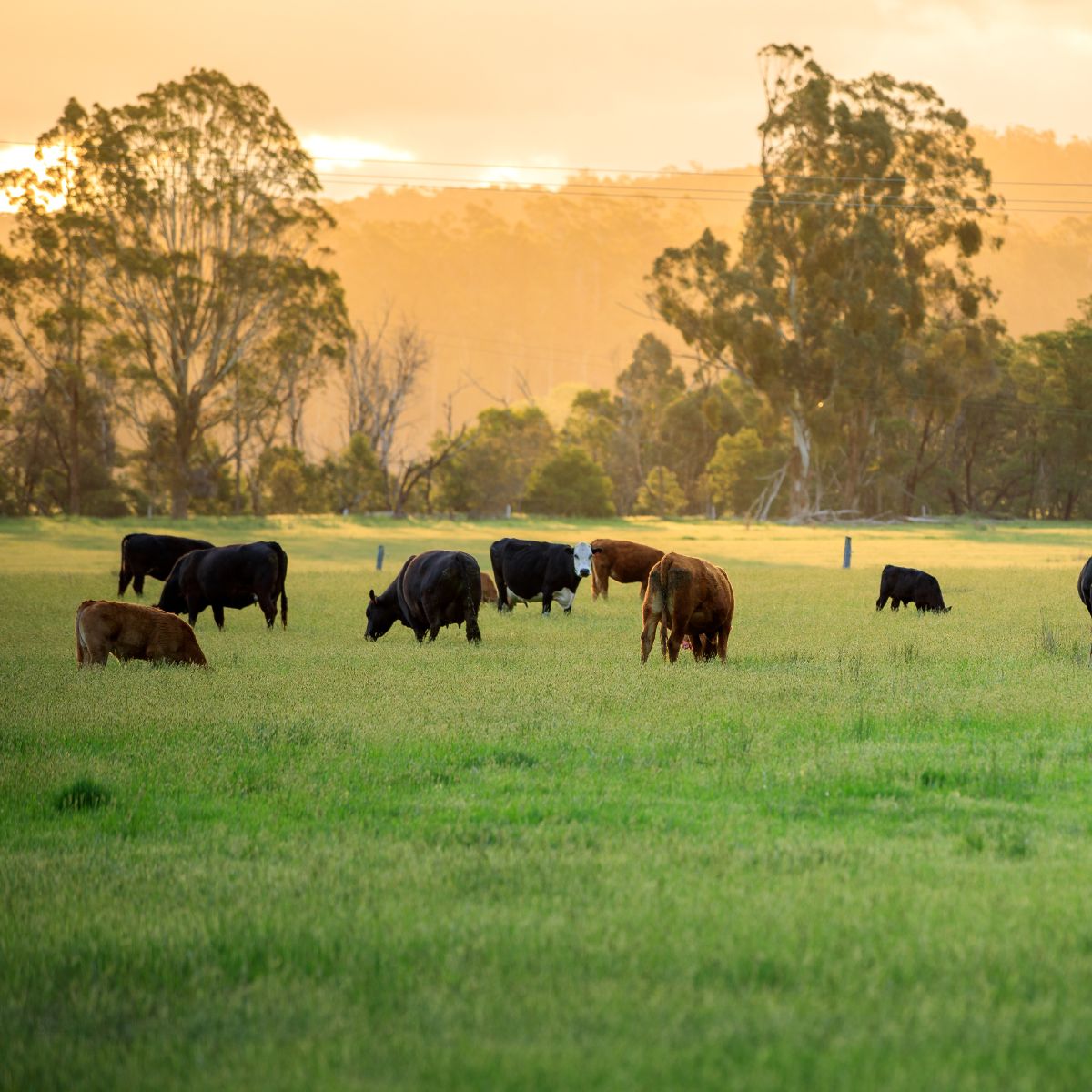 Agriculture Climate Change Connection